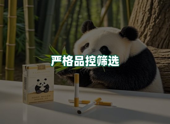 核心优势